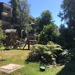Departamento En Pucon