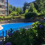 Departamento En Pucon